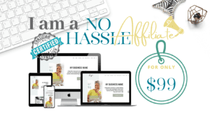 No Hassle Website Affiliate Banner